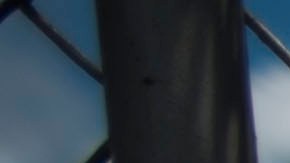 Donaciones de comida de Comedores Sociales en Puerto Rico