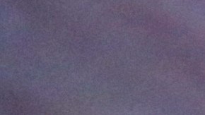 La administración Trump, argumentando problemas de verificación de antecedentes y fraude, suspendió todas las solicitudes de inmigración presentadas por inmigrantes provenientes de América Latina y Ucrania.