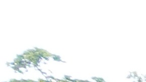 Los defensores aseguran que los recortes de 2019 le han costado a la ciudad $90 millones de dólares anuales.