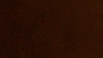 Marks ha dimitido bajo presión, ya que un funcionario del Departamento de Salud y Servicios Humanos (DHHS) le dijo que podía renunciar o ser despedido.