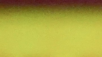 Jake Paul asegura que le tema a David Benavídez por el miedo que infunde.