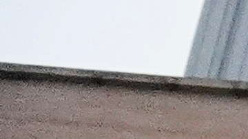 Tras desmayarse paramédicos se apersonaron y subieron a Quidone a una camilla y lo llevaron al Hospital Elmhurst.