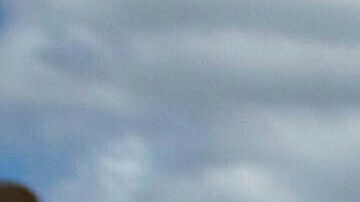 La familia viajaba en un BMW blanco con placas de California.