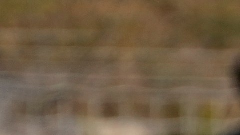 Landon Donovan lanza dura crítica contra la selección de Estados Unidos.