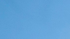 El panel estará compuesto por 20 expertos y 40 asesores.