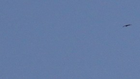 Las falsas amenazas de bomba son usuales en la India, donde no solo afectan a aviones y a aeropuertos, sino también a hospitales, centros educativos y otras infraestructuras.