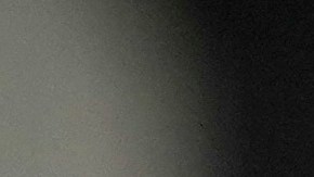 Algunos usuarios señalaron que ya pueden usar X con normalidad.