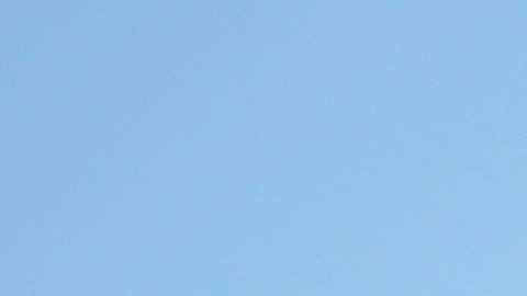 Tesla abrió en Shanghái su primera 'gigafactoría' fuera de EE.UU., planta de la que sale en torno a la mitad de los vehículos que vende al ámbito mundial.