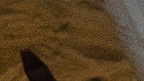 "Maradona llevaba más de dos horas muerto": Médico que certificó su muerte