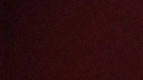 Biden conmutó también las penas de 37 de los 40 condenados a muerte a nivel federal, convirtiendo sus castigos en cadena perpetua, e indultó a su hijo Hunter.