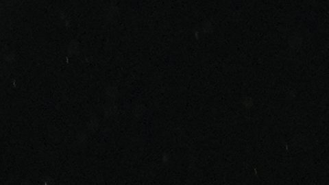 Neymar no arriesgará su lesión con Brasil, que llamará a Endrick