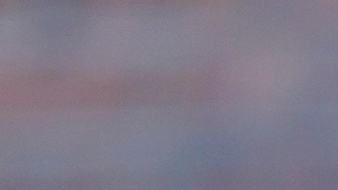 Hispano detenido por agentes de ICE en Denver, Colorado.