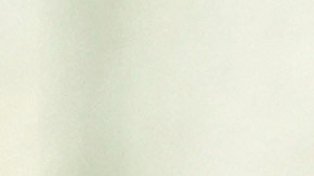 Los demandantes declararon que Musk desempeñaba funciones sin haber sido nombrado para ese puesto, violando la Cláusula de Nombramientos.