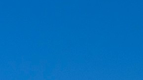 Trabajadores federales se organizaron contra despidos masivos.