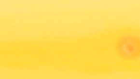 Vuelos de deportación a Venezuela