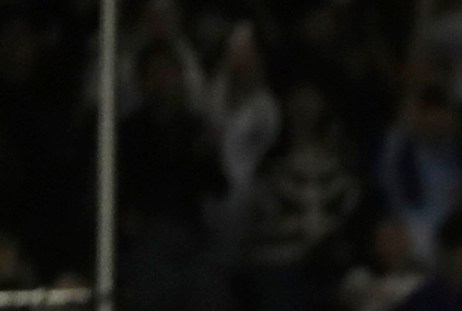 China Taipéi celebra su pase al Clásico Mundial.