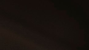 Manifestantes participan en una protesta contra Elon Musk y Tesla afuera de una sala de exposición de Tesla.