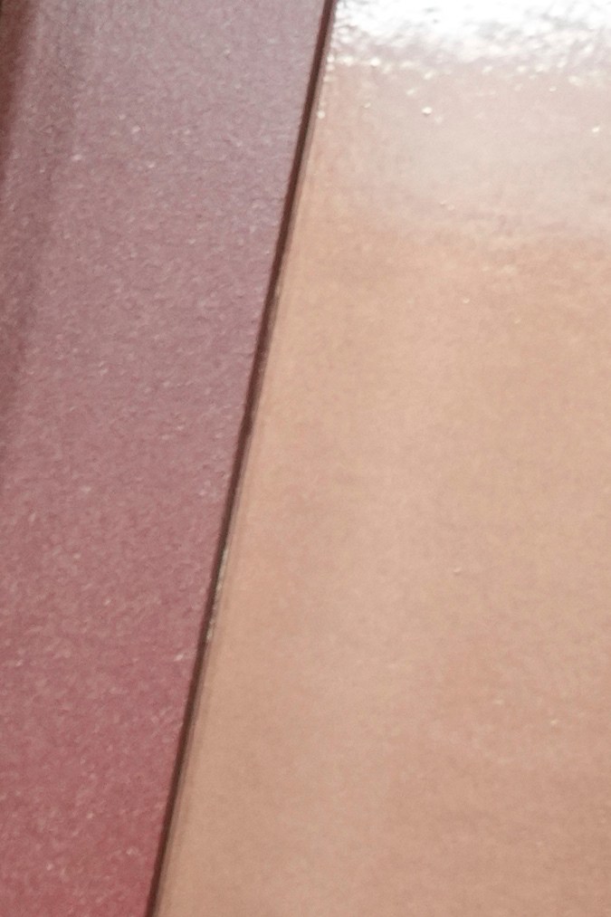 Lisa en los Premios Oscar 2025.