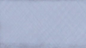 Aumentan los casos de sarampión en Texas