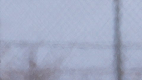 Aumentan los casos de sarampión en Texas