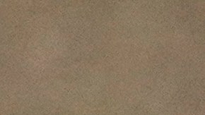 Las elecciones generales en Canadá están programadas para octubre de este año.