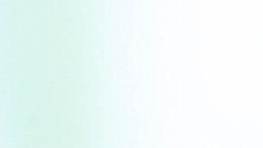 Donald Trump, presidente de EE.UU.