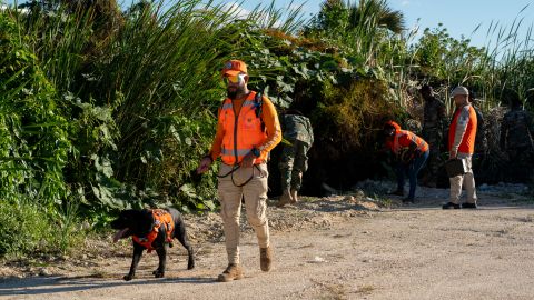 Autoridades dominicanas en plena búsqueda de Sudiksha Konanki.