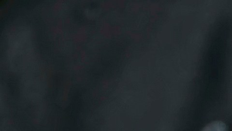 Elon Musk y Donald Trump