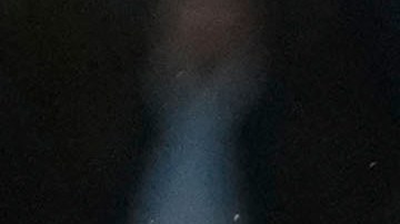 La Lazio buscará sumar una victoria en la Serie A ante el Torino.