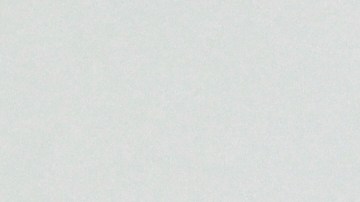 El Kremlin también confirmó la conversación con Trump.