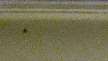 El presidente Donald Trump llega al Aeropuerto Internacional de Palm Beach, Florida, el viernes 14 de marzo de 2025, en el Air Force One.