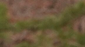 Se registraron múltiples daños materiales.