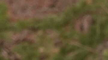 Se registraron múltiples daños materiales.