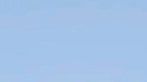 Un funcionario estadounidense informó que ningún proyectil alcanzó su objetivo.