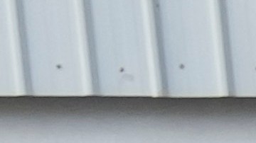 La cifra de muertos, de acuerdo con la información de estos medios citando el Gobierno de Gaza, superan los 244, que incluyen bebés, niños y mujeres.