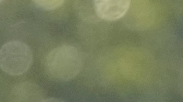 La selección de Argentina buscará una contundente victoria ante Uruguay.