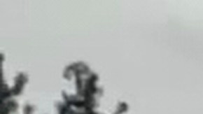 Trump y Putin acordaron implementar una pausa inmediata.