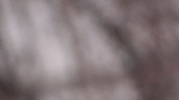 Los demócratas Alexandria Ocasio Cortez y Bernie Sanders