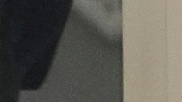 El papa reapareció en público el pasado domingo.