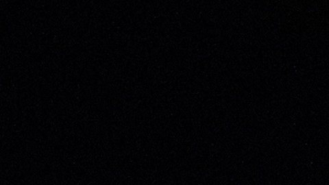 Un total de 199 venezolanos regresaron al país sudamericano.