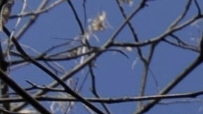 Edificio del Servicio de Rentas Internas (IRS) en Washington D.C.