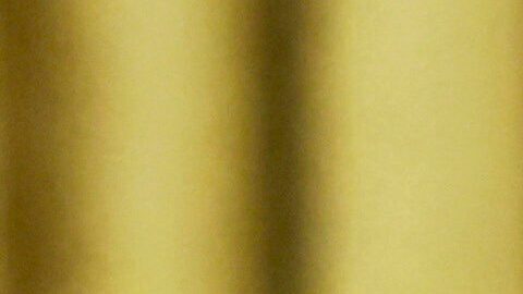 Presidente de EE.UU., Donald Trump