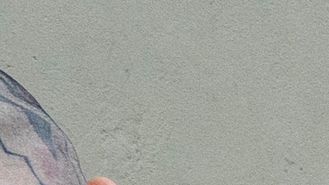 Un prisionero es trasladado mientras la secretaria de Seguridad Nacional, Kristi Noem, recorre el Centro de Confinamiento de Terroristas en Tecoluca, El Salvador, el miércoles 26 de marzo de 2025.