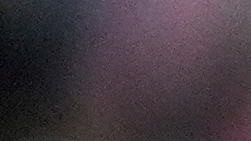 Messi celebra su gol ante Philadelphia Union.