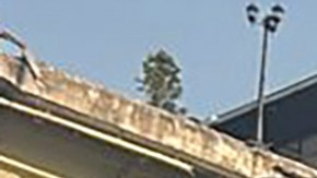 El terremoto también afectó gravemente a Tailandia y Myanmar.