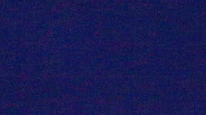 Evento de estadistas en Manatí, Puerto Rico