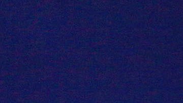 Evento de estadistas en Manatí, Puerto Rico