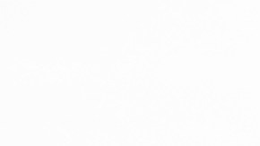 Los residentes más cercanos quedaron conmocionados por la muerte sangrienta en un barrio que es generalmente tranquilo.