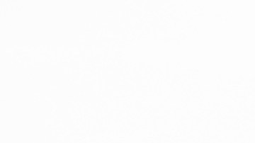 Los residentes más cercanos quedaron conmocionados por la muerte sangrienta en un barrio que es generalmente tranquilo.