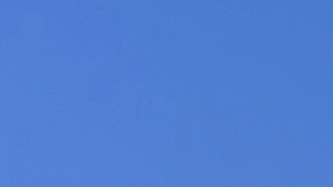 La Gran Manzana enfrenta un déficit de funcionarios policiales. Las autoridades tratan de superarlo con nuevos métodos de selección.